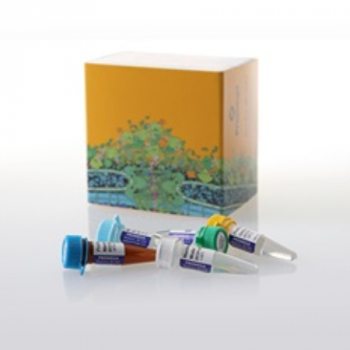 ProDye(TM) Teminator Sequencing System. 200 or 400rxn