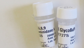 ФЕРМЕНТ АЛЬФА-2-3,6,8,9 НЕЙРОАМИНИДАЗА А (4000 ЕД.), АРТ. P0722 L, NEW ENGLAND BIOLABS