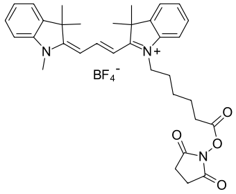 CYANINE3 NHS-ЭФИР, 1 MG, 11020