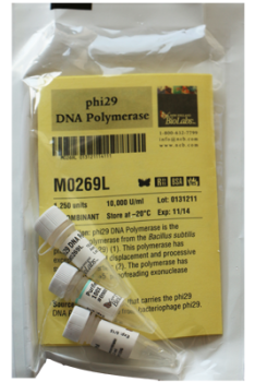 ФЕРМЕНТ-ПОЛИМЕРАЗА PHI29 ДНК-ПОЛИМЕРАЗА (10 000 Е.А./МЛ, 1 250 Е.А.), АРТ. M0269 L, NEW ENGLAND BIOLABS