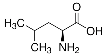 L-ЛЕЙЦИН (20Г) / L-LEUCINE