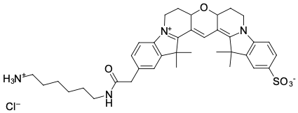 CYANINE3B АМИН, 5 MG, 293C0