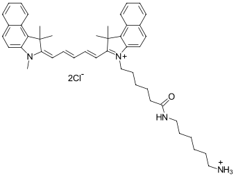 CYANINE5.5 АМИН, 1 MG, 170C0