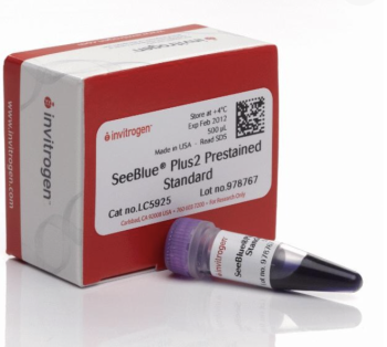 СТАНДАРТ БЕЛКА ПРЕДВАРИТЕЛЬНО ОКРАШЕННЫЙ SEEBLUE™ PLUS2, 500 ?L, АРТ. LC5925, THERMO FISHER SCIENTIFIC