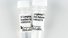 ФЕРМЕНТ-ПОЛИМЕРАЗА LONGAMP® TAQ HOT START ДНК-ПОЛИМЕРАЗА (2 500 Е.А./МЛ, 2 500 Е.А.), АРТ. M0534 L, NEW ENGLAND BIOLABS