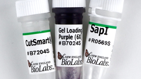 ЭНДОНУКЛЕАЗА РЕСТРИКЦИИ SAPI (10 000 Е.А./МЛ, 250 Е.А.), АРТ. R0569 S, NEW ENGLAND BIOLABS