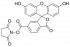 FAM NHS-ЭФИР, 6-ИЗОМЕР, 50 MG, 55120