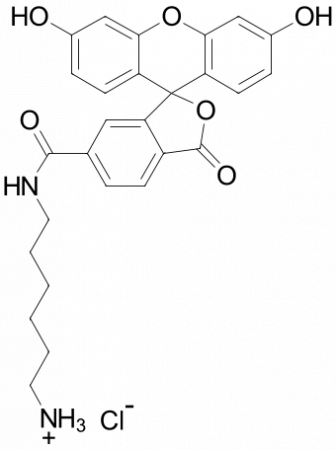 FAM АМИН, 6-ИЗОМЕР, 1 MG, 151C0