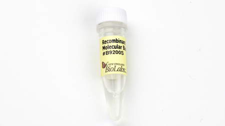 АЛЬБУМИН РЕКОМБИНАНТНЫЙ RECOMBINANT ALBUMIN, MOLECULAR BIOLOGY GRADE, CONC. 20 MG/ML, 12 MG, NEW ENGLAND BIOLABS