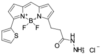 BDP 558/568 ГИДРАЗИД, 5 MG, 27470
