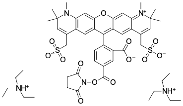 AF 594 NHS-ЭФИР, 1 MG, 2825-1MG