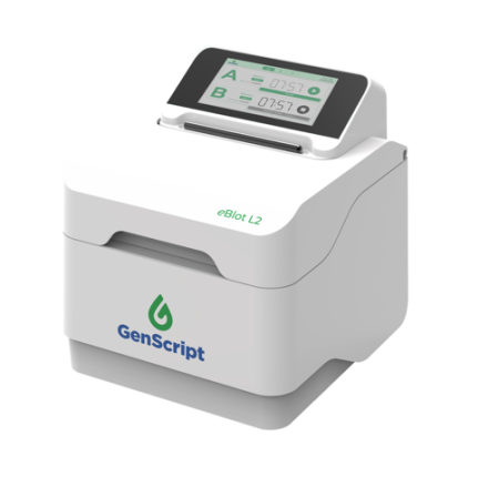 EBLOT TM L2 СИСТЕМА ПЕРЕНОСА БЕЛКОВ ВТОРОГО ПОКОЛЕНИЯ, АРТ. L00981