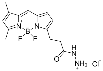 BDP FL ГИДРАЗИД, 50 MG, 51470