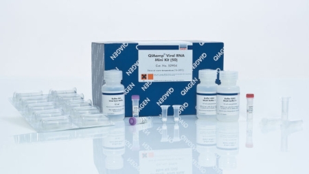 НАБОР ЛАБОРАТОРНЫХ РЕАГЕНТОВ ДЛЯ ВЫДЕЛЕНИЯ ВИРУСНОЙ РНК «QIAAMP VIRAL RNA MINI KIT (250)», АРТ. 52906, QIAGEN