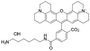 ROX-АМИН, 6-ИЗОМЕР, 5 MG, B22C0