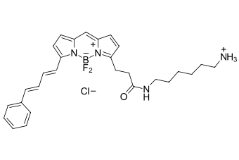 BDP 581/591 АМИН, 5 MG, 264C0