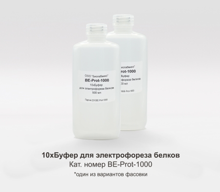 10Х БУФЕР ДЛЯ ЭЛЕКТРОФОРЕЗА БЕЛКОВ, 1000 МЛ