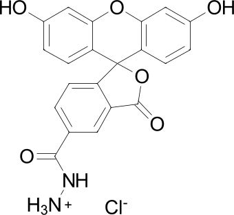 FAM ГИДРАЗИД, 5-ИЗОМЕР, 1 MG, 14170