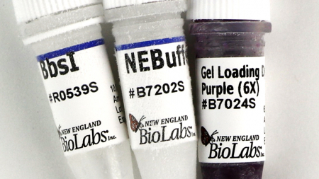 ЭНДОНУКЛЕАЗА РЕСТРИКЦИИ BBSI (10 000 Е.А./МЛ, 1 500 Е.А.), АРТ. R0539 L, NEW ENGLAND BIOLABS