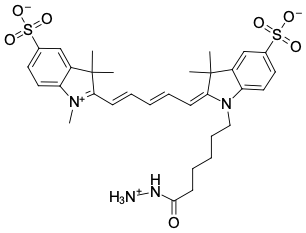 SULFO-CYANINE5 ГИДРАЗИД, 1 MG, 13370