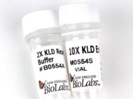 ГОТОВАЯ СМЕСЬ KLD ДЛЯ МУТАГЕНЕЗА (25), АРТ. M0554 S, NEW ENGLAND BIOLABS