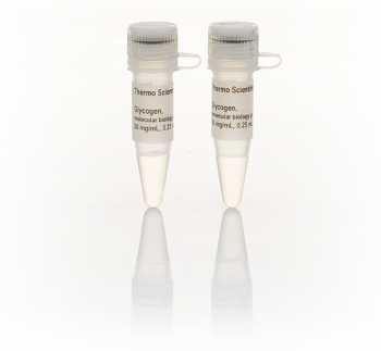 ГЛИКОГЕН ДЛЯ ОСАЖДЕНИЯ ДНК (20 МГ/МЛ), 2X2,25 МЛ, FERMENTAS