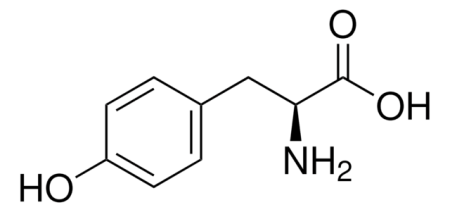 L-ТИРОЗИН (10Г) /L-TYROSINE