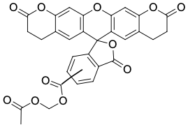 BCECF AM, ЗЕЛЕНЫЙ ФЛУОРЕСЦЕНТНЫЙ ИНДИКАТОР PH, 1 MG, 3698-1MG