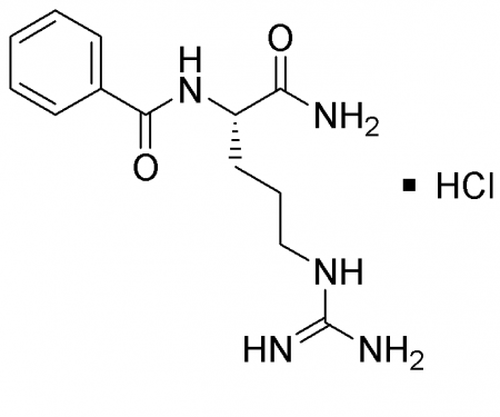 N-L-БЕНЗОИЛ-L-АРГИНИНА АМИД ГИДРОХЛОРИД(1Г) / (N-L-BENZOYL-ARGININE AMIDE HYDROCHLORIDE)