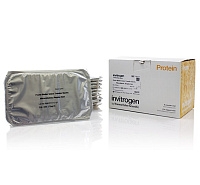 ФИЛЬТРЫ ЦЕНТРИФУЖНЫЕ AMICON ULTRA 0.5ML 30K 24ШТ/УП; UFC503024 7930378