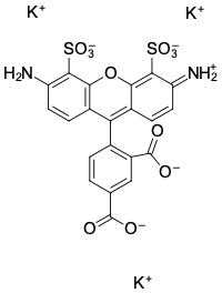 AF 488 КАРБОНОВАЯ КИСЛОТА, 1 MG, 11890