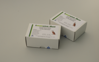 ТЕСТ IMMUNORUN PARVOVIRUS AG DETECTION KIT (ПАРВОВИРУС), АРТ.80CPV205, BIOGAL GALED LABS ACS LTD