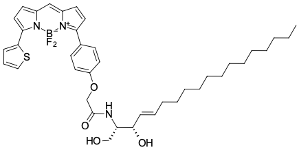 BDP® TR ЦЕРАМИД, 250 UG, 3044-250UG