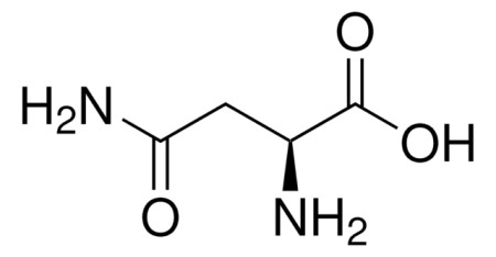 L-АСПАРАГИН (200Г) /L-ASPARAGINE