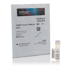 КРАСИТЕЛЬ SYBR GREEN II, 10 000Х, РАСТВОР В ДМСО, 1 МЛ, АРТ. S7568, THERMO FISHER SCIENTIFIC
