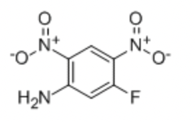 2,4-ДИНИТРО-5-ФТОРАНИЛИН (5Г) / 2,4-DINITRO-5-FLUORANILIN