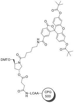 FAM CPG 500, 6-ИЗОМЕР, 100 MG, 15760