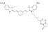 SULFO-CYANINE7 NHS-ЭФИР, 100 MG, 65320