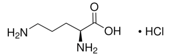 L-ОРНИТИНА МОНОГИДРОХЛОРИД (25Г) /L-ORNITHINE MONOHYDROCHLORIDE