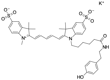 SULFO-CYANINE5 ТИРАМИД, 1 MG, 3796-1MG