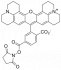 ROX NHS-ЭФИР, 6-ИЗОМЕР, 100 MG, 62220