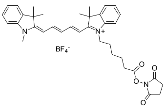 CYANINE5 NHS-ЭФИР, 1 MG, 13020