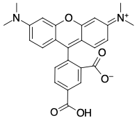 TAMRA КАРБОНОВАЯ КИСЛОТА, 5-ИЗОМЕР, 50 MG, 57190