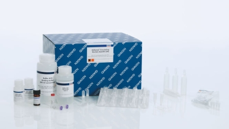 НАБОР РЕАГЕНТОВ ДЛЯ ВЫДЕЛЕНИЯ СЦДНК "QIAAMP MINELUTE CCFDNA MINI KIT (50)", АРТ. 55204, QIAGEN