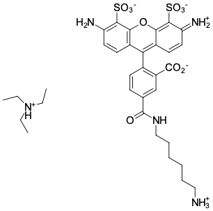 AF 488 АМИН, 1 MG, 118C0