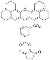 ROX NHS-ЭФИР, 5-ИЗОМЕР, 5 MG, 21220