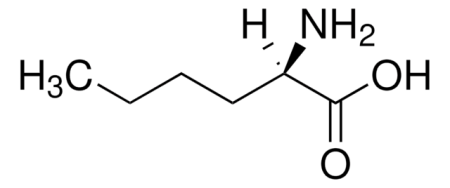 D-НОРЛЕЙЦИН (1Г) / D-NORLEUCINE