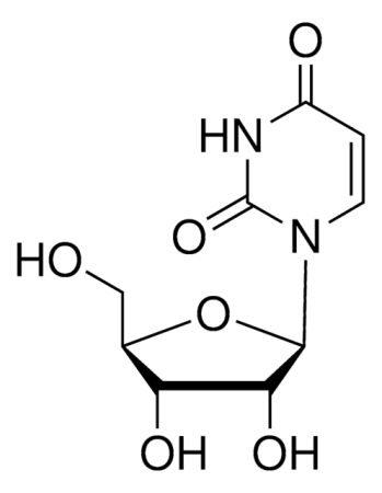 УРИДИН (5Г) /URIDINE