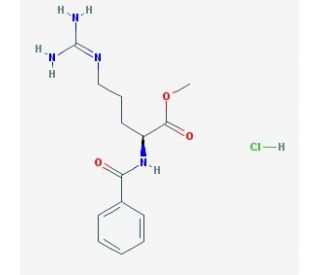 N-БЕНЗОИЛ-L-АРГИНИН МЕТИЛОВЫЙ ЭФИР ГИДРОХЛОРИД (5Г) / (N-BENZOYL-L-ARGININE METHYL ESTER HYDROCHLORIDE)