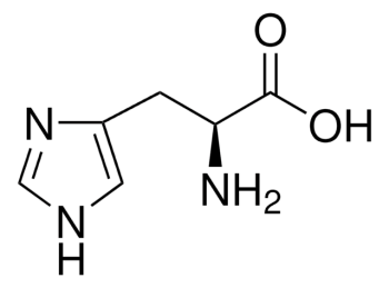 L-ГИСТИДИН (10Г) /L-HISTIDINE
